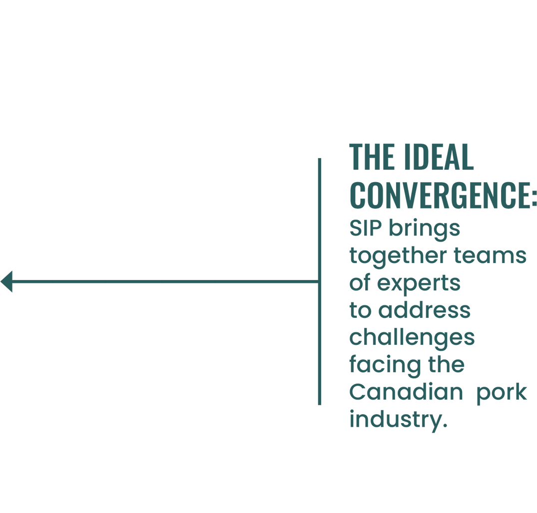 value-to-industry-graphic_02-min