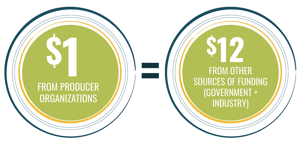 value-to-producers-graphic-min